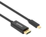 Câble Adaptateur USB-C vers DisplayPort Image 3