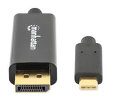 Câble Adaptateur USB-C vers DisplayPort Image 4